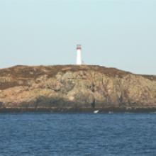 Southwest Wolf Island