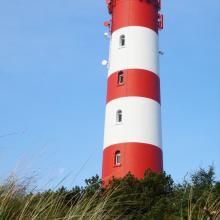Amrum