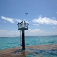 New Alligator Reef Light