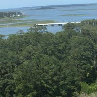 View from the top of Assateague Lighthouse