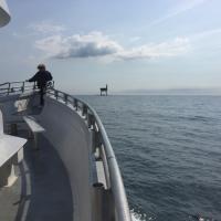 First sight of Chesapeake Lighthouse