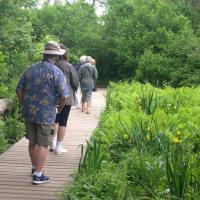 Making our way along the trail to Saugerties Lighthouse