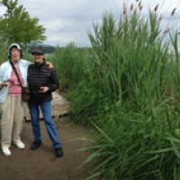 Peggy and Virginia on the trail to Saugerties Lighthouse